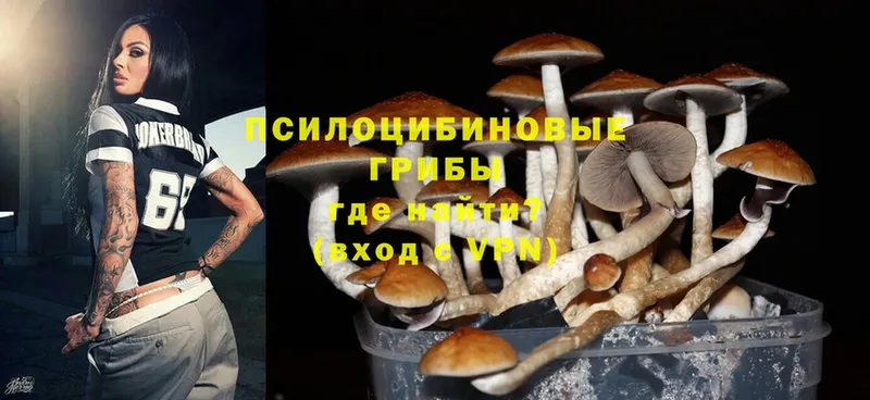 Псилоцибиновые грибы MAGIC MUSHROOMS  Сафоново 